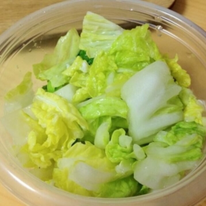 ビニール袋でカンタン!白菜の塩麹漬